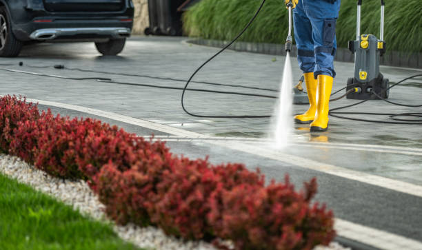 Guntown, MS Pressure Washing Services Company